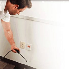 How to Minimize Indoor Pests
