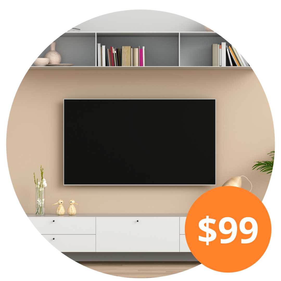 TV Wall Mounting OneGuard OneGuard